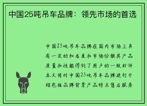 中国25吨吊车品牌：领先市场的首选
